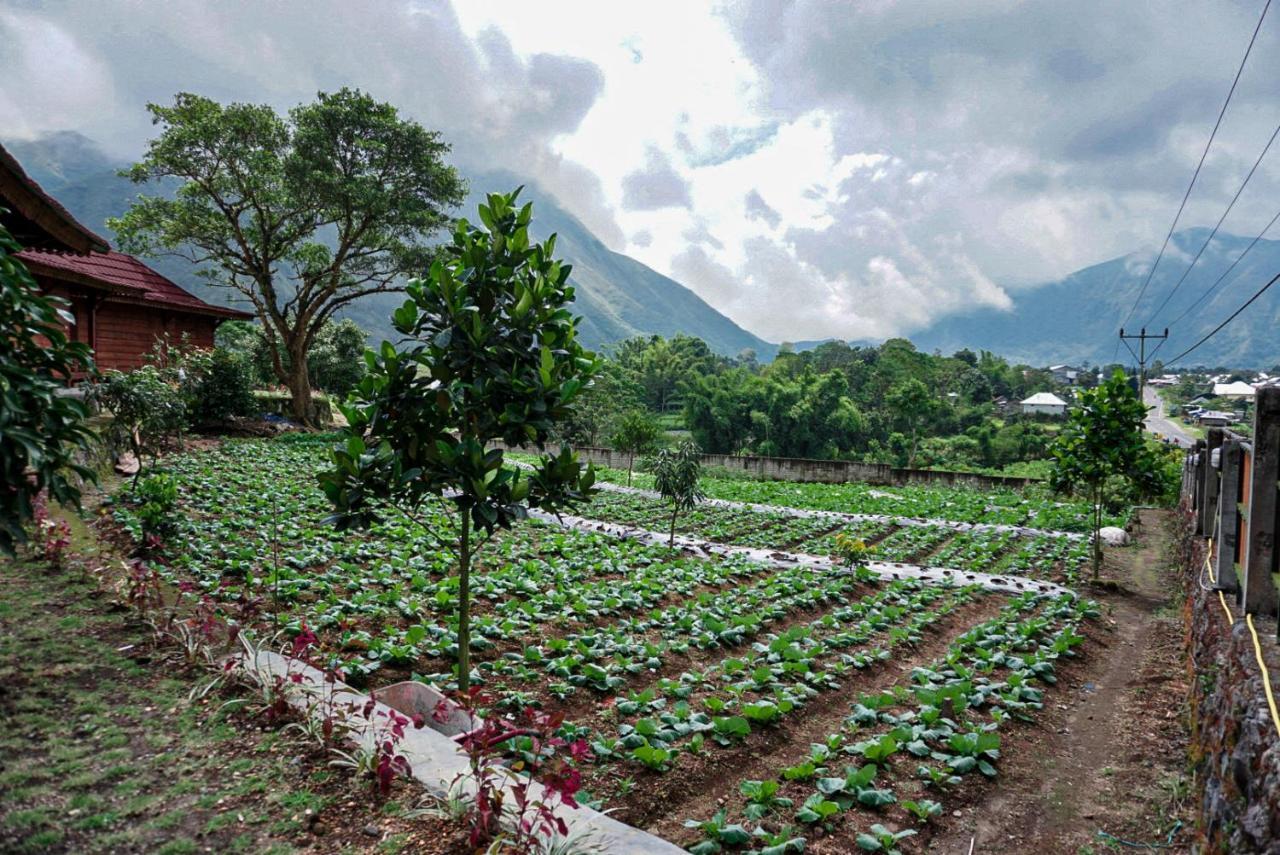 Rinjani Hill Hotel Sembalunlawang Luaran gambar